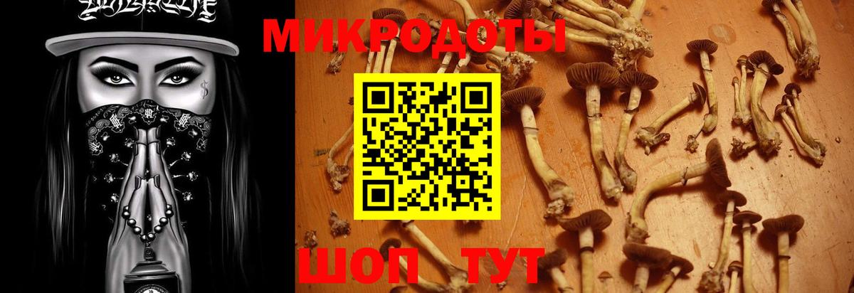 Киржач  закладка  Вход с VPN  Псилоцибиновые грибы Psilocybe 